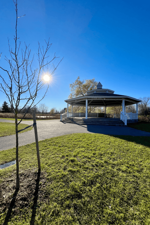 The bright fall sun shinning over the walking paths and covered gazebo of Walter Baker Park.