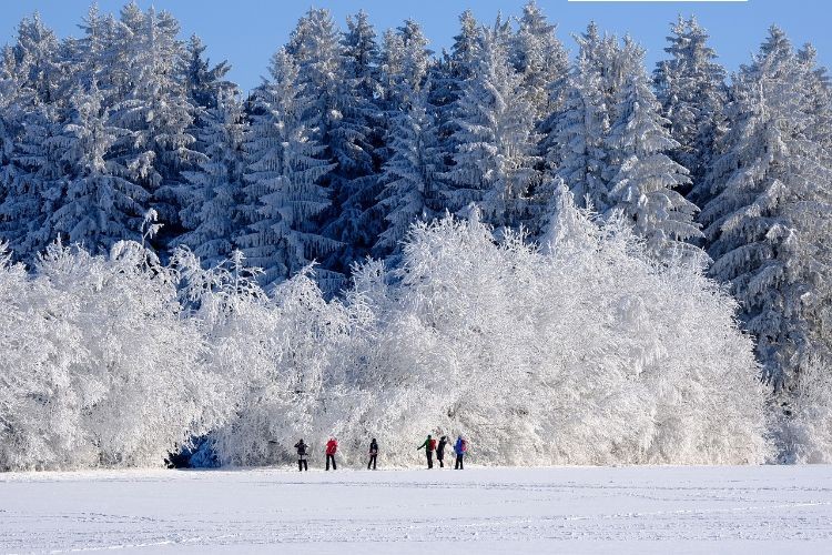 Winter Hiking in Quebec Canada is just one of many winter adventures and activities.