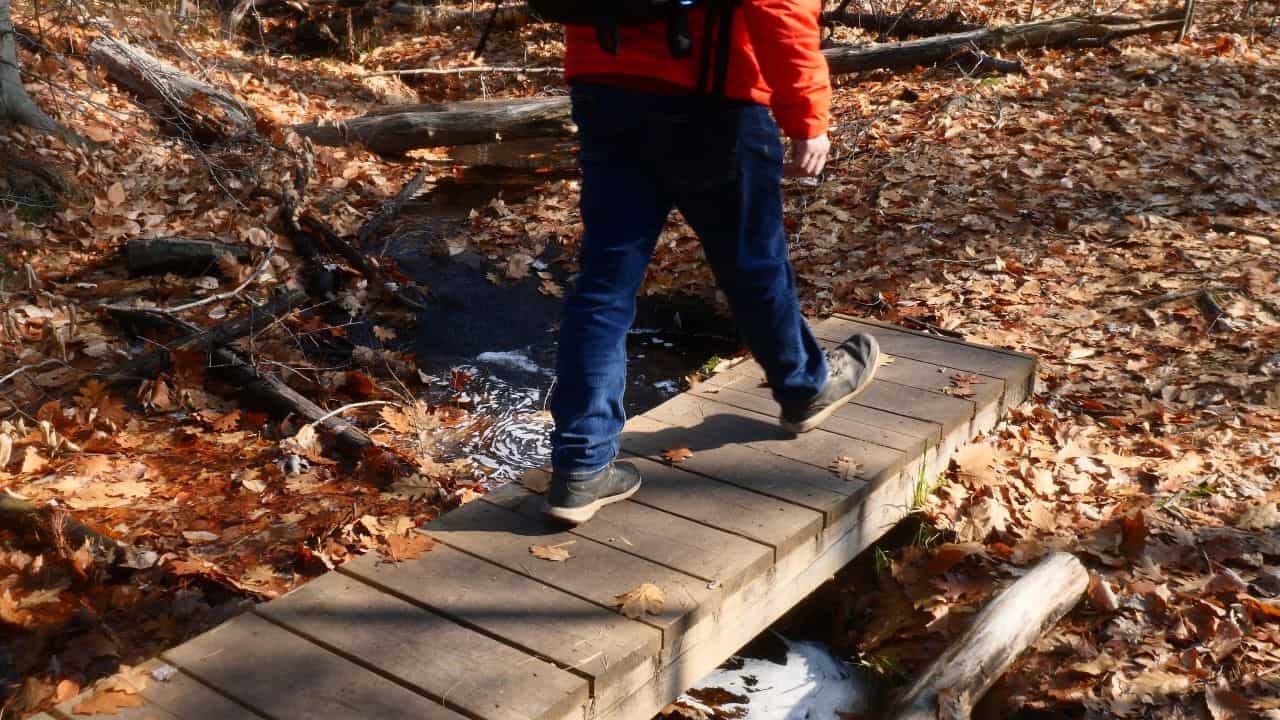 Hiking across boardwalk in Hardy Lake Provincial Park in Ontario Canada in the Muskoka region.