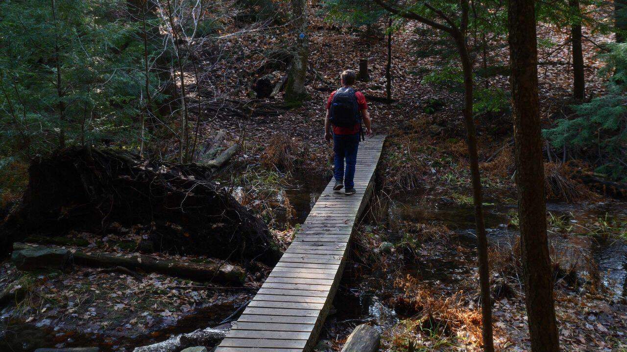 Boardwalks In The Park leads to a small island in the Hardy Lake Provincial Park in Ontario Canada.