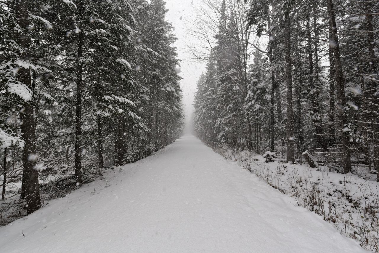 After a fresh snowfall, the Celtic Shores Coastal Trail in Cape Breton NS becomes a winter wonderland that is perfect for all kinds of winter adventures in Canada.