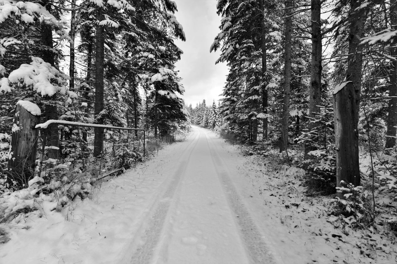 The Celtic Shores Coastal Trail on Cape Breton Island, Nova Scotia Canada which connects Port Hawkesbury to Inverness is the perfect place for winter adventures in Canada.