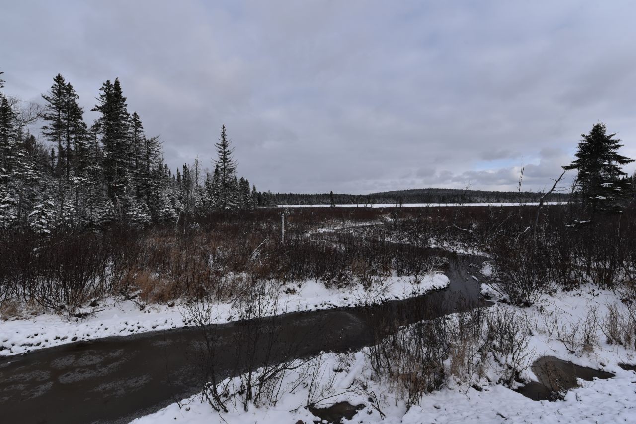 The snowy landscapes along Newfoundland's T'Railway Trail make a breathtaking backdrop of winter adventure in Canada.