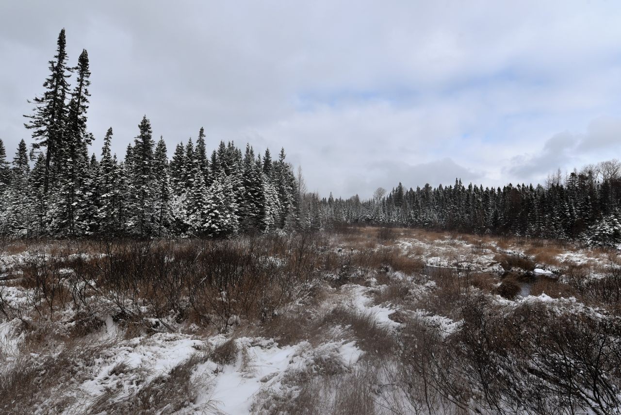 The Trans Canada Trail in Newfoundland, aka the T'Railway Trail, is the perfect place to enjoy winter's quiet solitude.