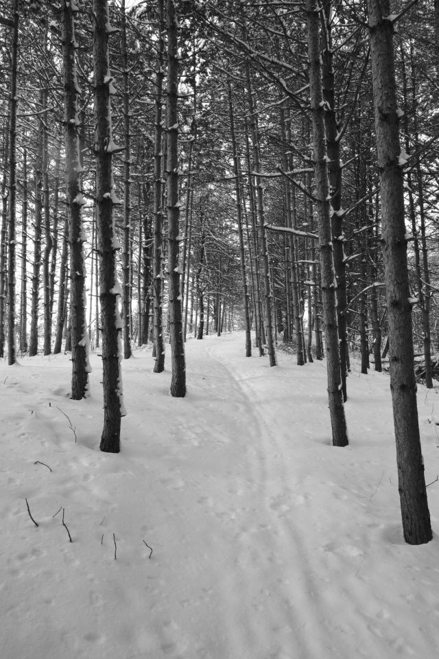 The Kawartha Trans Canada Trail in Ontario Canada is the perfect place to experience of magic of winter, so strap on your skis, snowshoes, or winter boots and head outside.