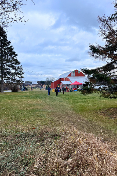 A walking path with a view of the Christmas Farm barns in the background. Late autumn scene with people walking.