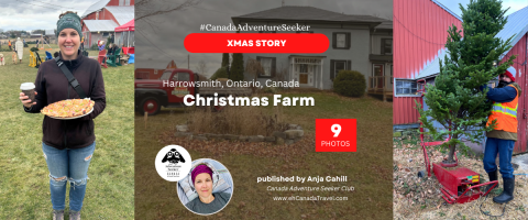 Christmas-Farm