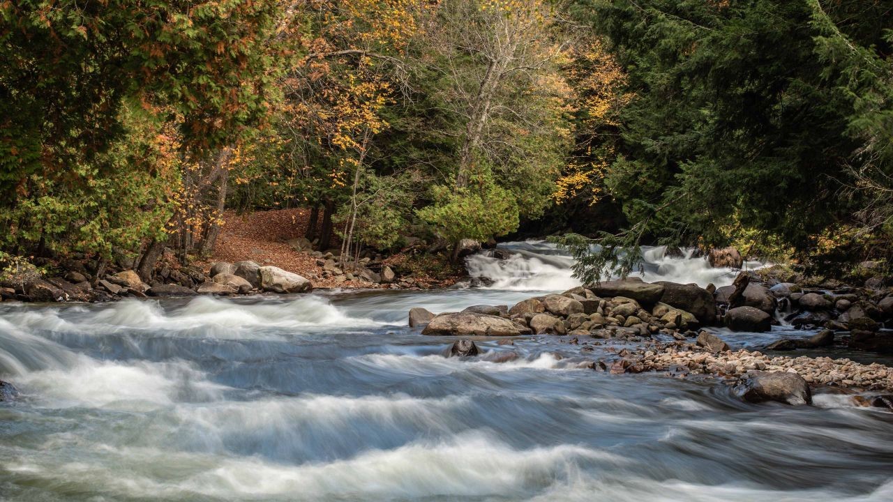 Autumn Colors at the Minden Whitewater Preserve on the Gull River enjoyed by kayakers in Ontario Canada.