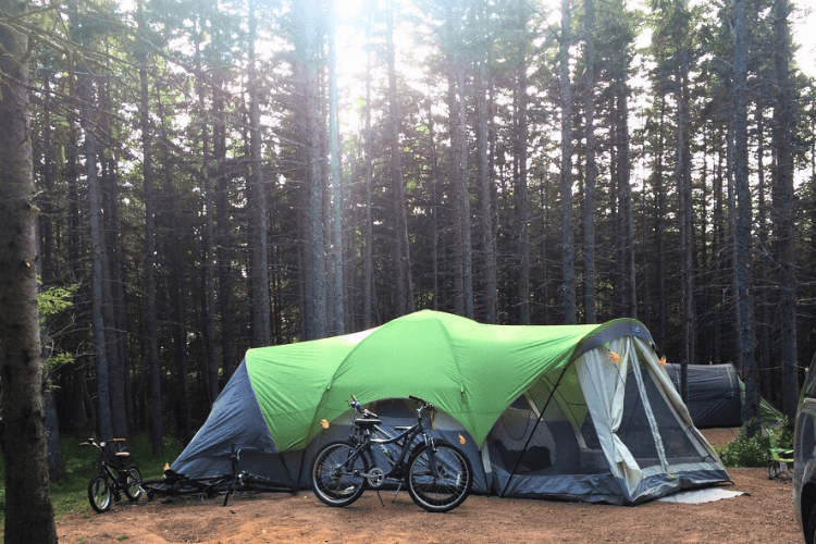 Large tent set-up in a forest of tall trees, with bicycles and sun shinning through the trees.