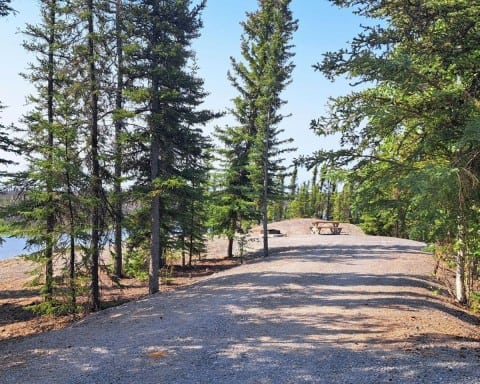 Reid Lake Territorial Park on the Ingraham Trail near Yellowknife has large and well treed camping sites.