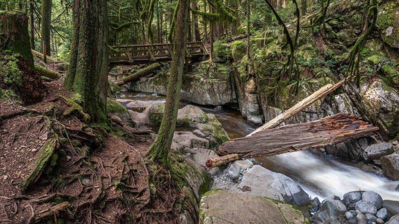 Bridge Crossing At Cypress Falls