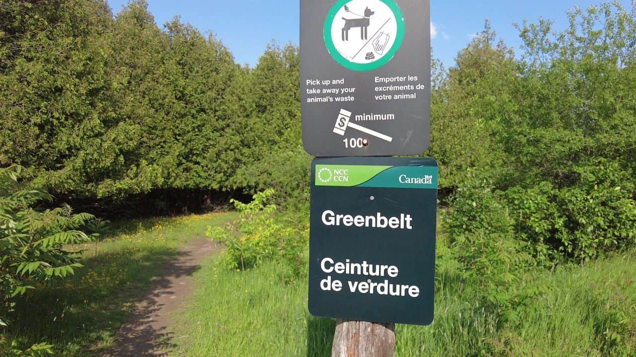 Dogas allowed on hiking trail