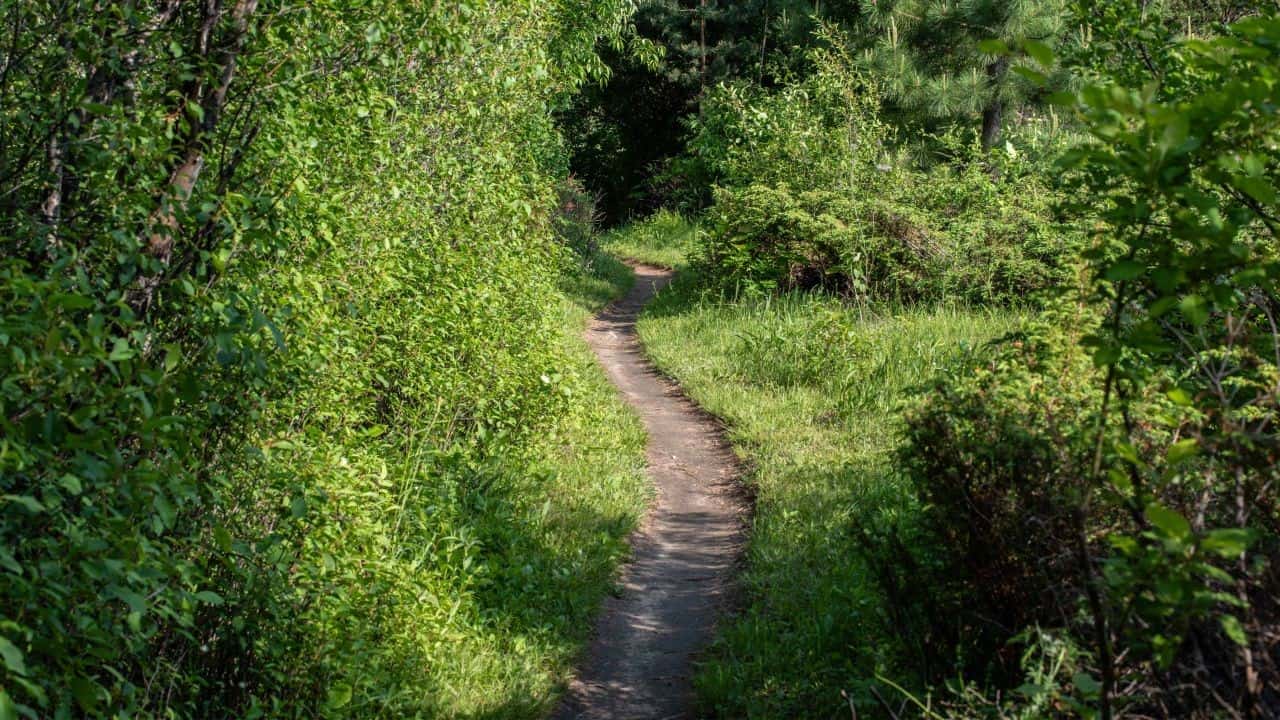 Ottawa Ontario Canada Hiking Trail