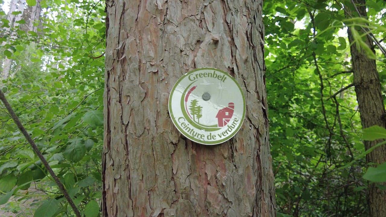 National Capital Greenbelt Trail