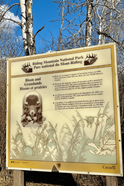Riding Mountain National Park - Bison and Gfralsslands - sign in English and French.