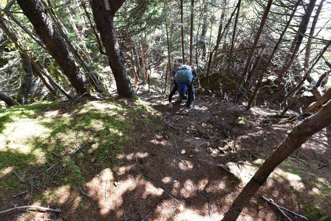 Ascending and descending the steep coastal terrain along the Bay of Fundy is what Day 2 of hiking westbound on the Fundy Footpath is all about.