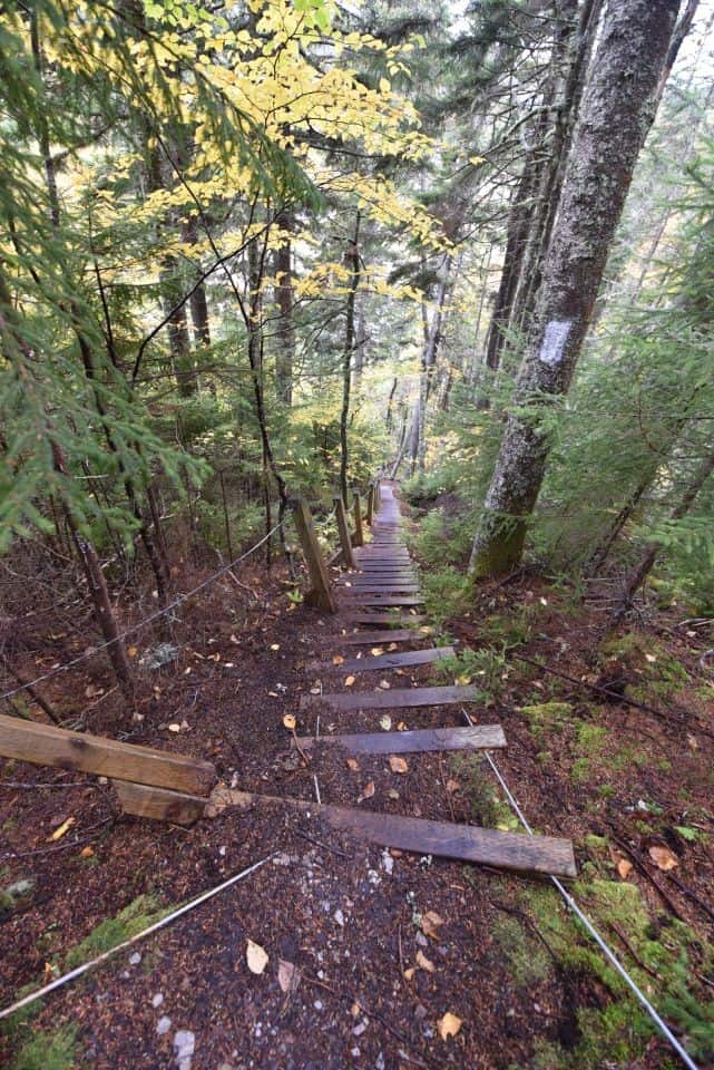 The final day of our hike on the Fundy Footpath brought many sets of wooden steps and ladders to help us climb and ascend the steep coastal terrain.