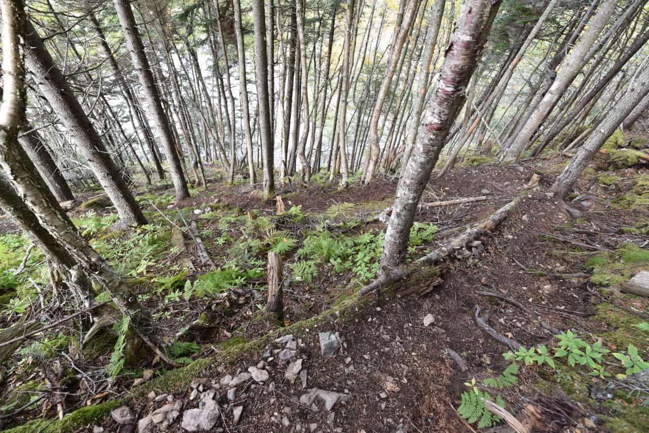 Hikers on the footpath must navigate switchbacks, wooden ladders, and loose, rocky slides while trekking the incredibly steep coastal terrain on the Fundy Footpath.