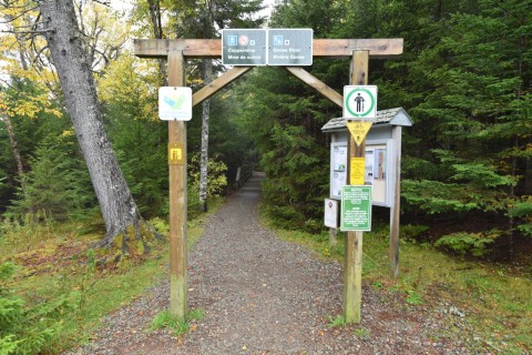 The multi-day coastal hike on New Brunswick's Fundy Footpath begins with a 12.7 km walk along the Goose River Trail in Fundy National Park.