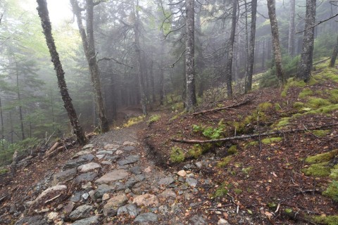 Misty and magical forest hikes are part of the adventure when exploring the Fundy National Park and tackling the challenges of New Brunswick's Fundy Footpath.