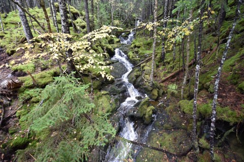 Scenic waterfalls are just one of the highlights hikers enjoy while trekking along the rugged coastal terrain of the Fundy Footpath in New Brunswick, Canada.