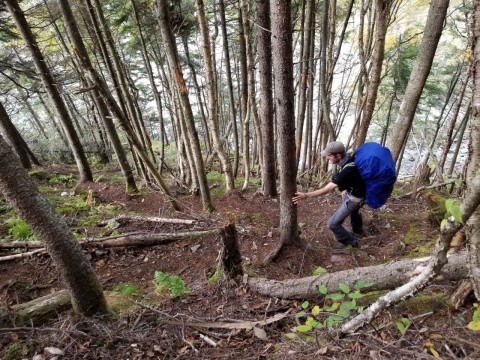 The Fundy Footpath is a strenuous hike for those who enjoy challenging coastal terrain and excellent views.