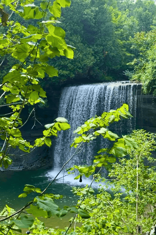 The view of Bridal Veil Falls in Kagawong, Ontario, Manitoulin Island. Through sunshine and green leaved branches.