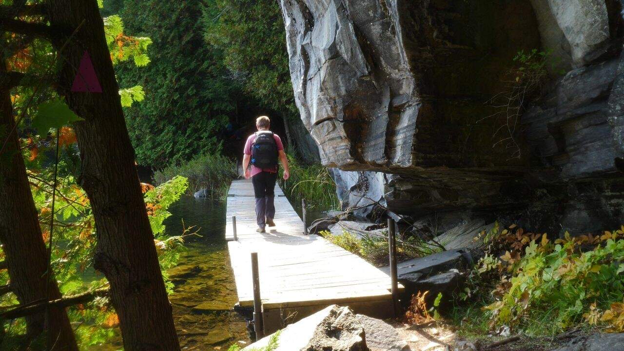 Solitaire Lake Trail At Limberlost Forest