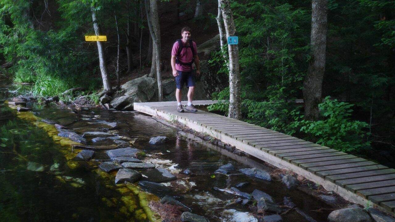 Buck Lake Hiking Trail At Limberlost Forest