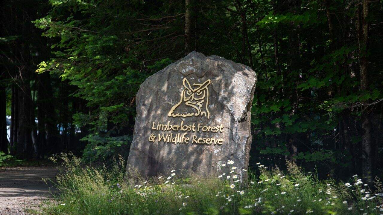 Limberlost Forest And Wildlife Reserve