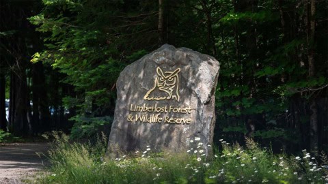 Limberlost-Forest-And-Wildlife-Reserve