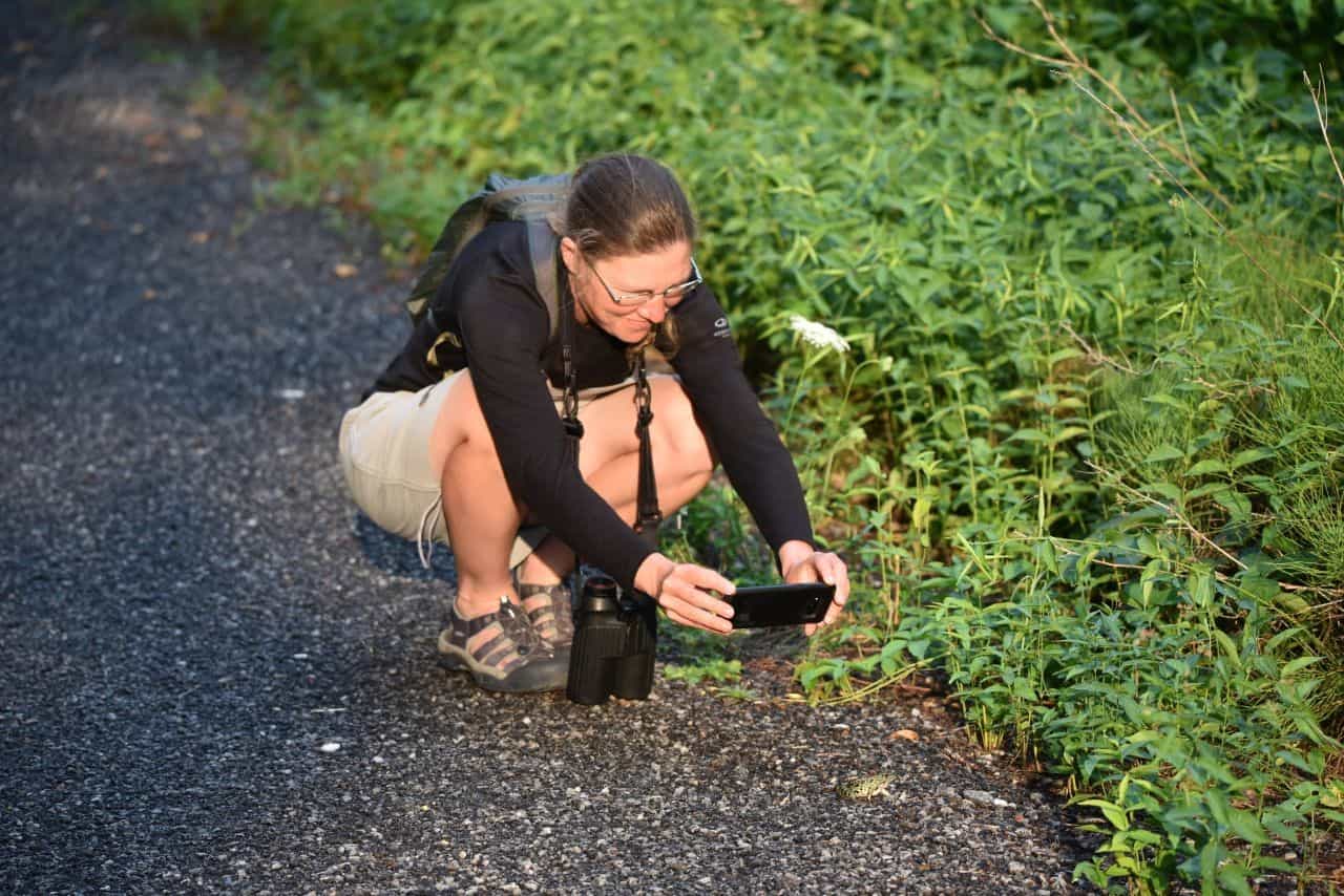 Top Nature Apps for Travel in Canada
