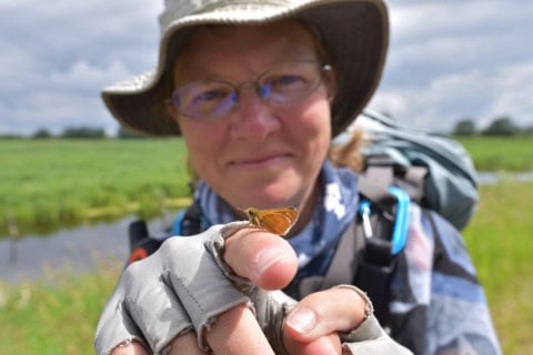 What is that butterfly? Unlock the secrets of Canada’s vibrant butterfly species with the best nature apps. Identify, learn, and immerse yourself in the colourful world of Canada’s winged wonders.