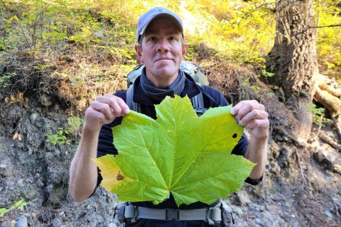 Discover Canada’s flora with top nature apps. Identify plants, learn about local species, and enhance your outdoor adventures with expert plant identification on the go.