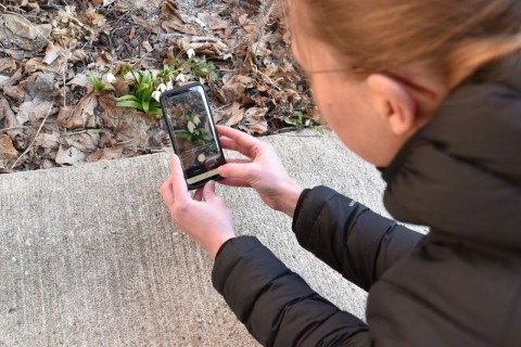 Using Seek by iNaturalist is simple—just snap a photo of a plant or animal, upload it, and instantly discover the species. Nature exploration in Canada has never been easier or more fun.