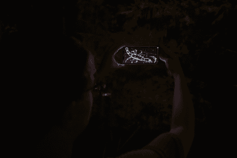 SkyView makes stargazing in Canada effortless—just point your phone to identify stars, planets, and constellations, turning every clear night into a fun, educational celestial adventure.