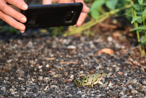 Discover the top nature apps for travel in Canada to enhance your outdoor adventures. Explore hiking, wildlife, and scenic spots with the best mobile tools for navigating Canada's breathtaking landscapes.