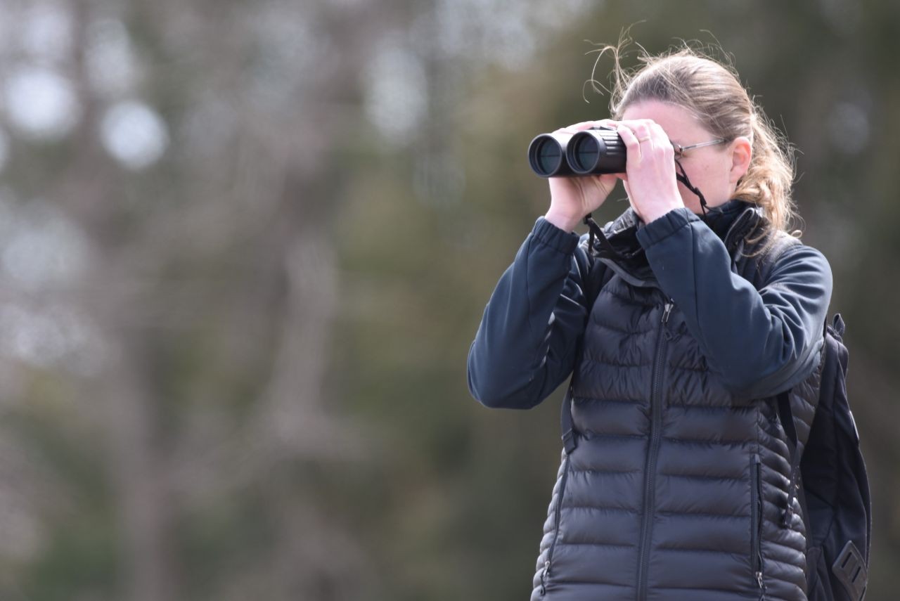 Watching birds from a safe distance with binoculars demonstrates ethical birding in Canada. Giving birds space preserves their natural behavior while allowing meaningful, responsible wildlife experiences across diverse habitats.