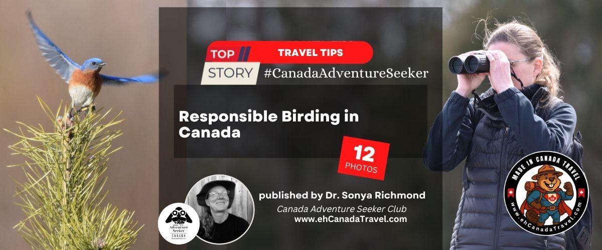 Responsible Birding in Canada: Respectful Etiquette for Ethical Wildlife Travel