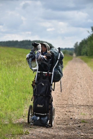 Birding from designated paths ensures sensitive ecosystems remain undisturbed. Ethical wildlife travel in Canada means walking softly, respecting habitats, and fostering meaningful connections with birds in their natural environment.