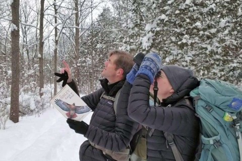 Responsible Birding in Canada: Respectful Etiquette for Ethical Wildlife Travel reflects mindful winter birding, where patience, quiet observation, and respect for habitat guide meaningful wildlife encounters across Canada’s snowy landscapes.