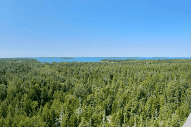 An elevated view of Fathom Five National Marine Park, Tobermory, Ontario, including lush green forests and blue shining water of Georgian Bay, Ontario. Taken from the Lookout Tower in Tobermory.