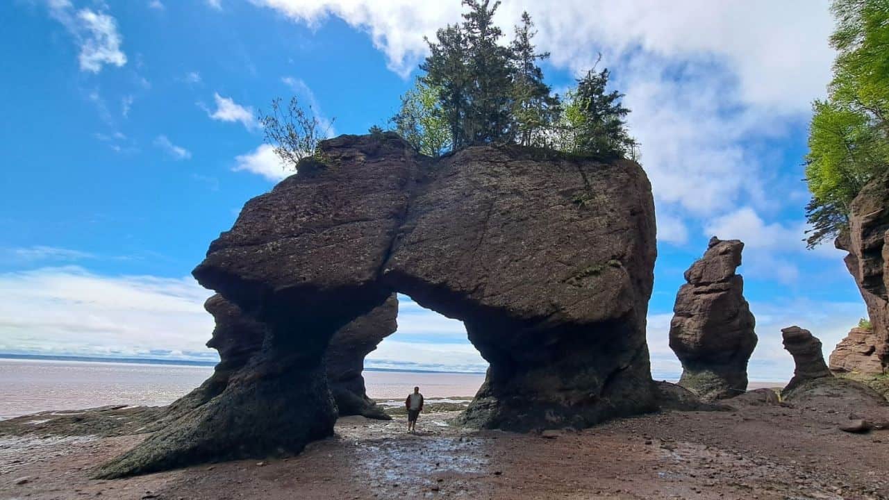 Traveler standing beneath the towering flowerpot rock formations at low tide in Hopewell Rocks Provincial Park, New Brunswick.