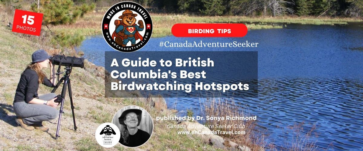 Discover the BC Bird Trail: A Guide to British Columbia’s Best Birdwatching Hotspots