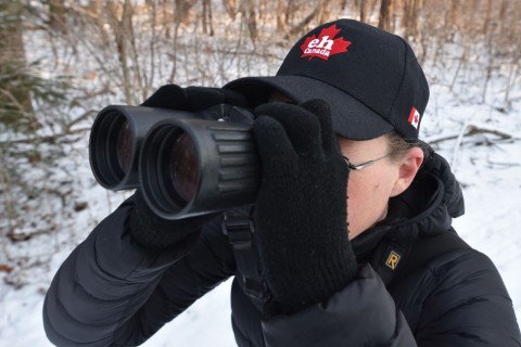 Bundling up against the chill is necessary while scanning frosted branches for chickadees and waxwings — proof that winter along the BC Bird Trail offers quiet beauty and unexpected feathered surprises.