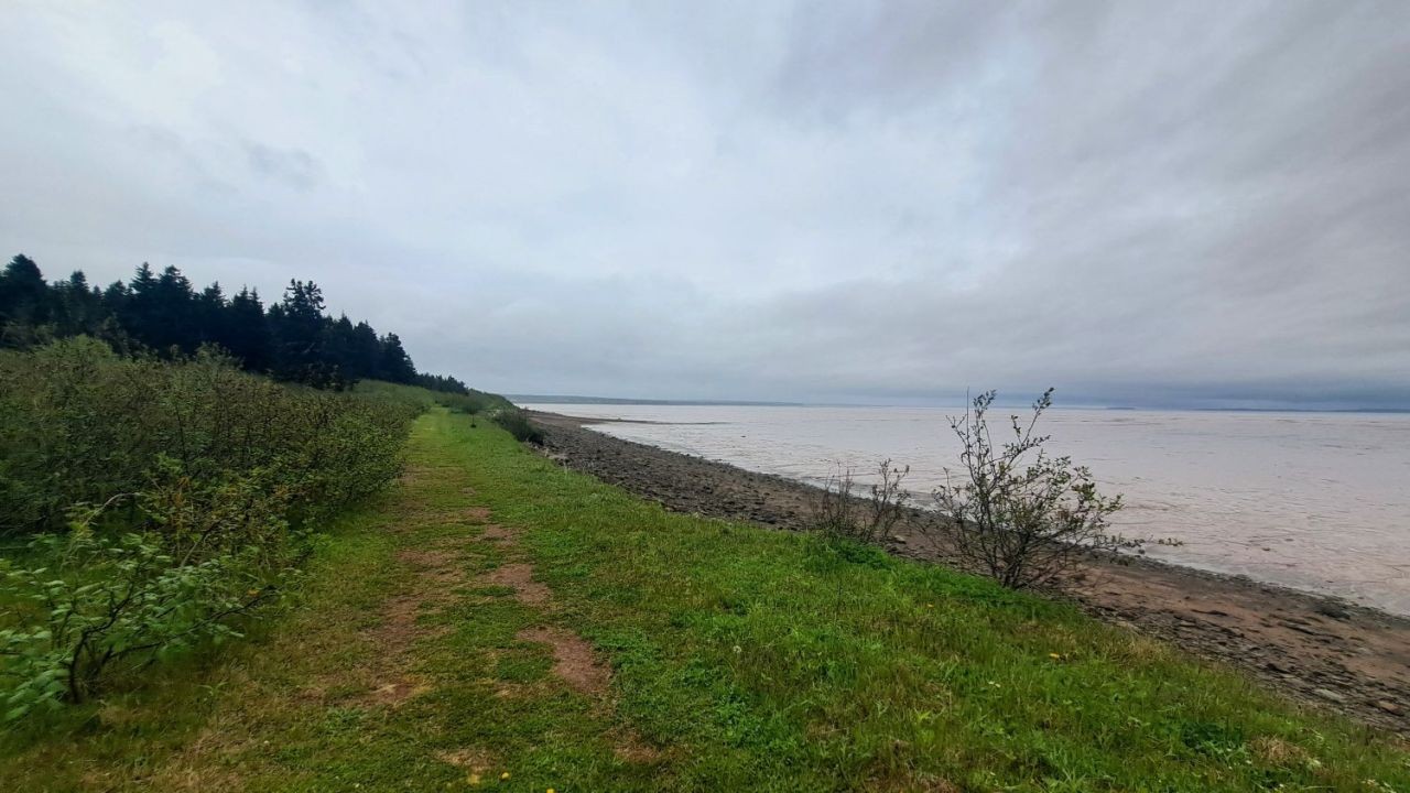 A cloudy and overcast day for a stroll on a garssy trail while exploring the Bay of Fundy near Dorchester New Brunswick.