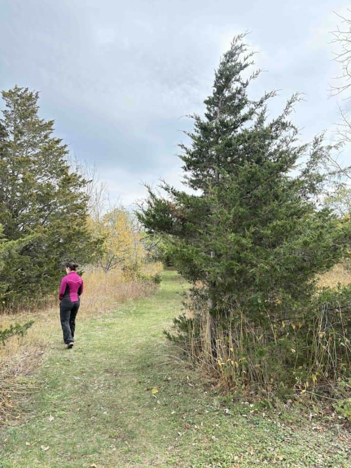 Forest Bathing at Point Traverse in Ontario, Canada, is a great way to revitalize one's senses.