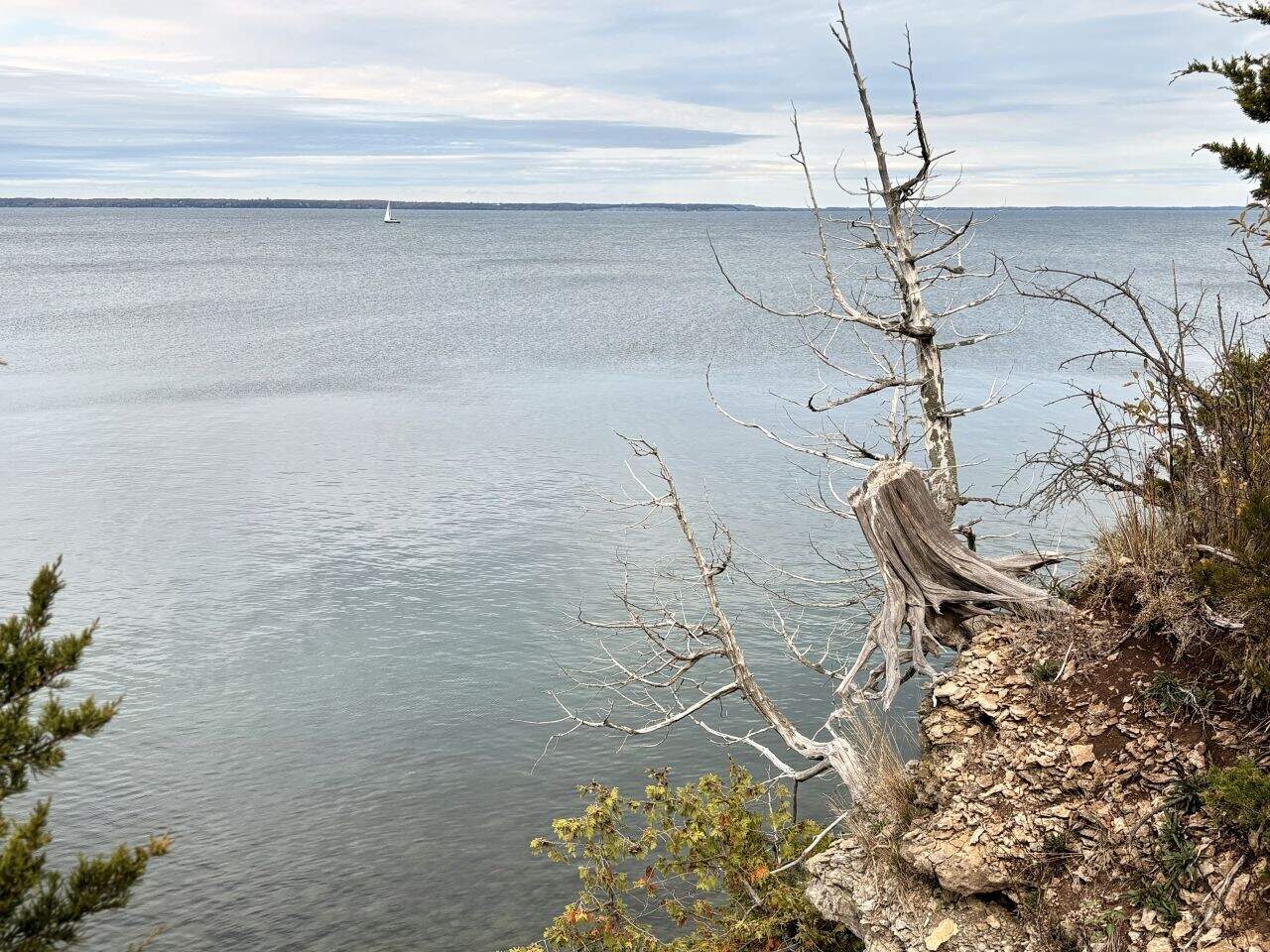 Enjoying the sights and sounds while exploring Forest Bathing at Point Traverse
