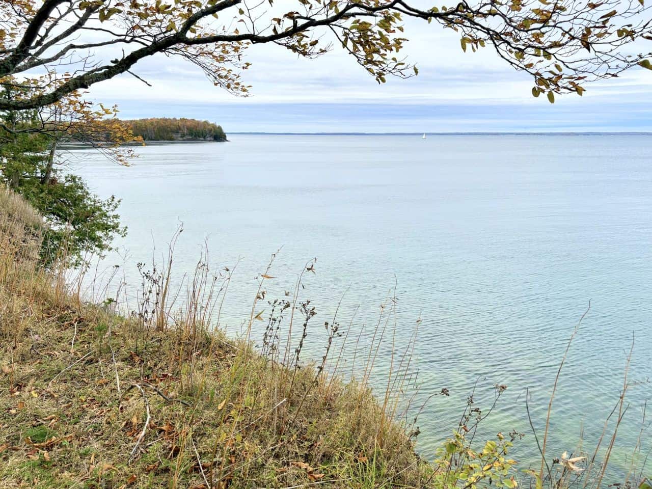 Point Traverse Trail is one of many experiences for  Forest Bathing in Ontario Canada