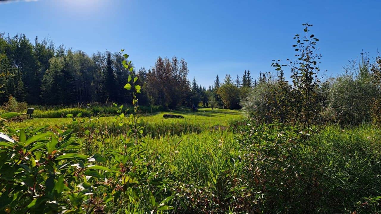 A greenspace with picnic tables marks the trail head for teh Gateway Trail System near Fort McMurray
